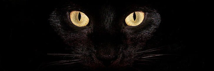 HizbiY's profile banner image