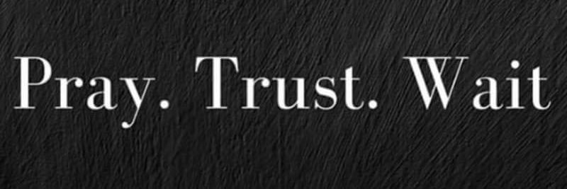 trulymonsters's profile banner image