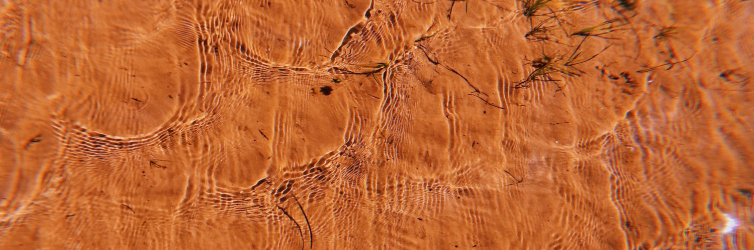 caseyosullivanx's profile banner image