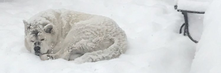 jaminburden's profile banner image
