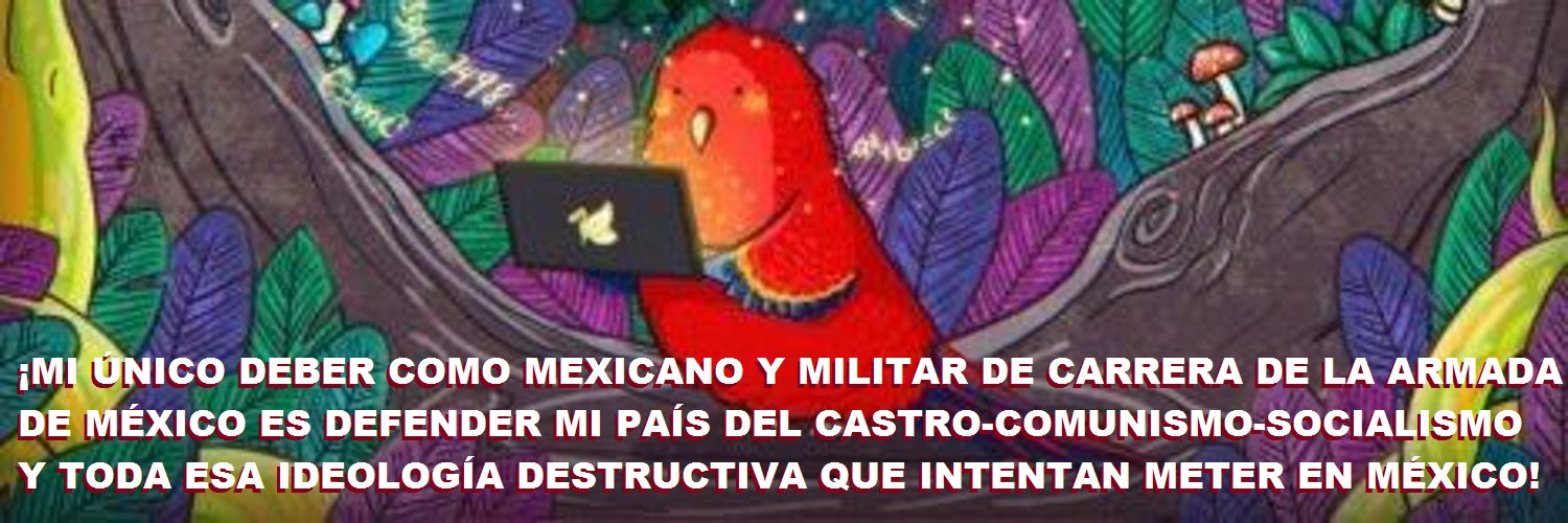 Contra-la-4T!🇲🇽🇺🇦🇮🇱🇻🇪 banner