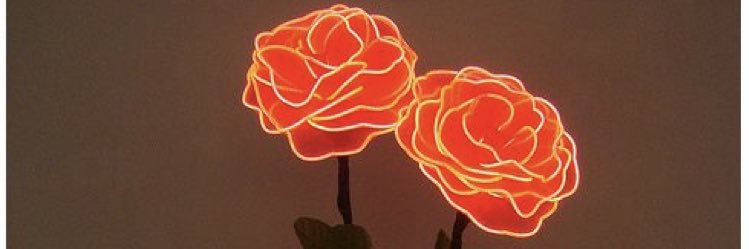 aumimerrr's profile banner image