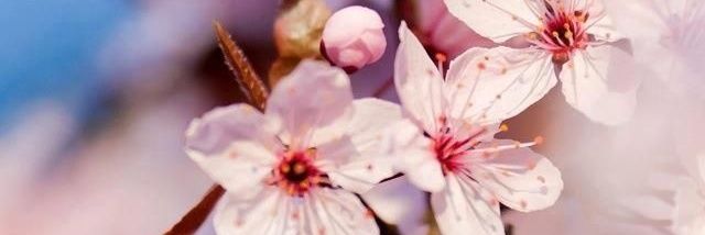 miss_2985's profile banner image