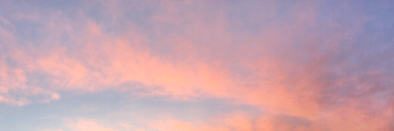 brunneval's profile banner image