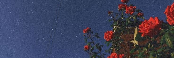 micasaguan's profile banner image