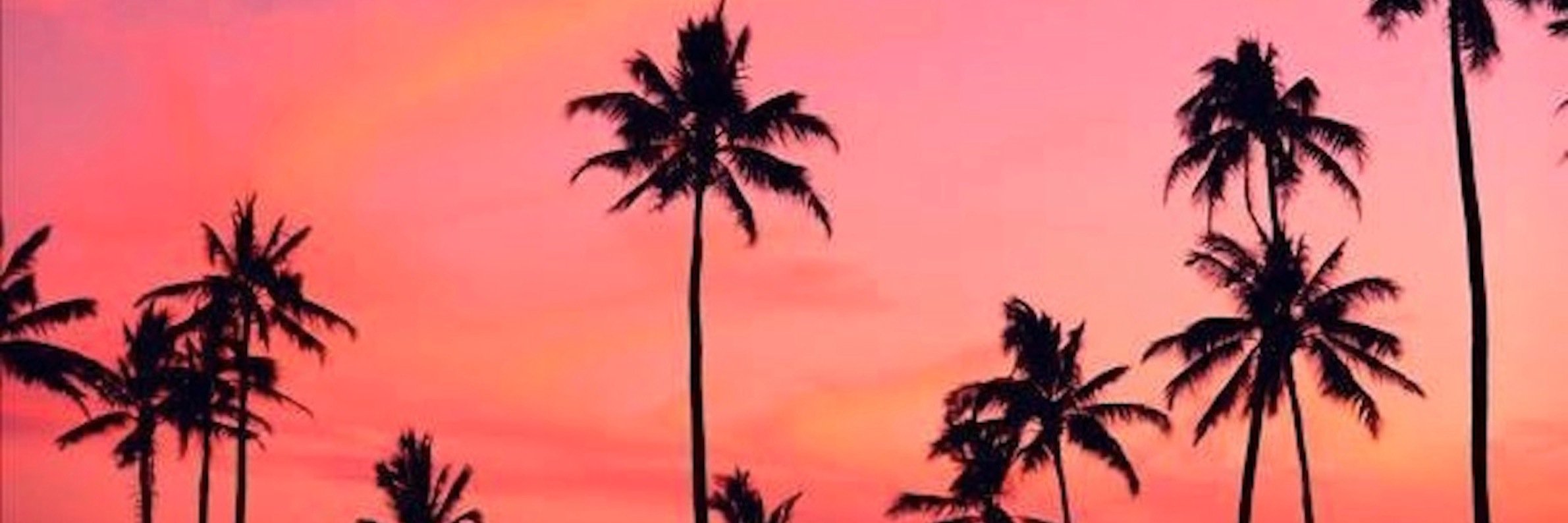 TexasGotti's profile banner image