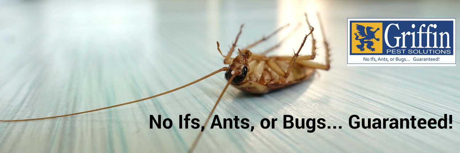GriffinPest's profile banner image