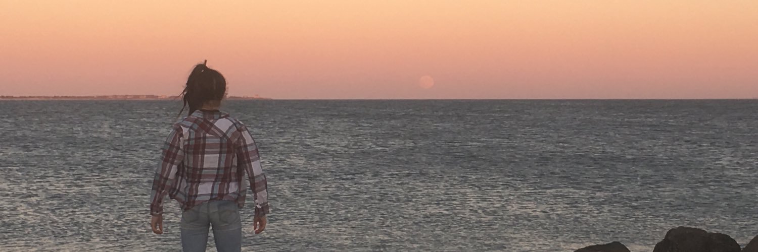 hjonsey's profile banner image