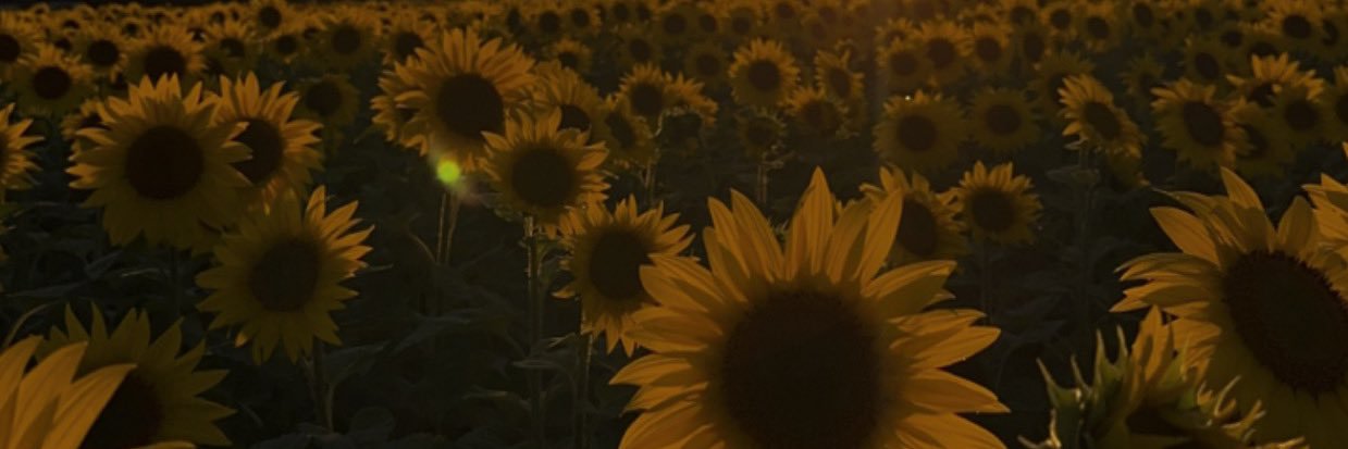 aly,, rt pinned banner