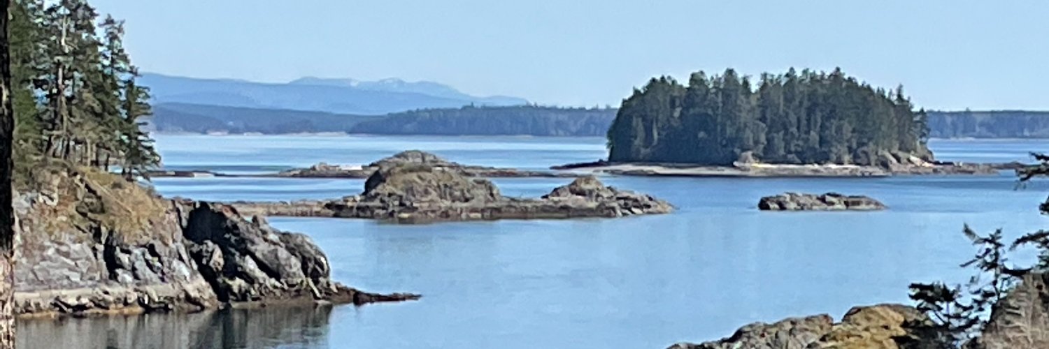 My View: Allard van Veen - Enlightened Capitalist banner