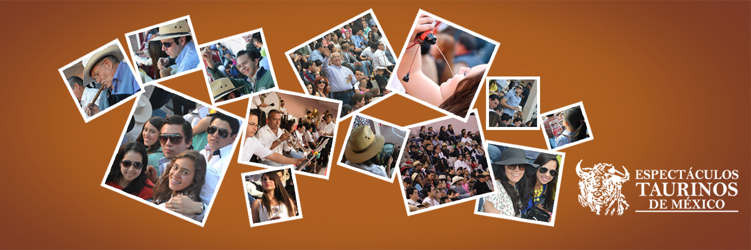 serialtaurinole's profile banner image