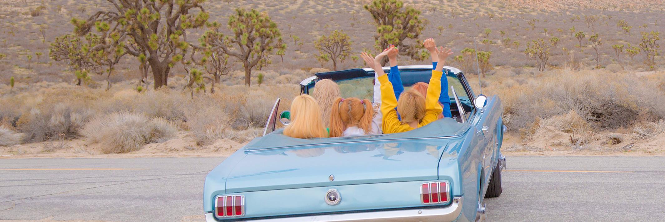 mongbaechu's profile banner image