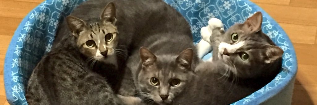 cathood33's profile banner image
