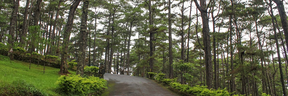 Igorotak187's profile banner image