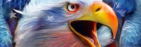 apinkrose Profile Banner