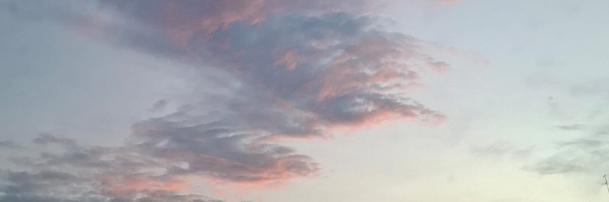 shktwfak's profile banner image