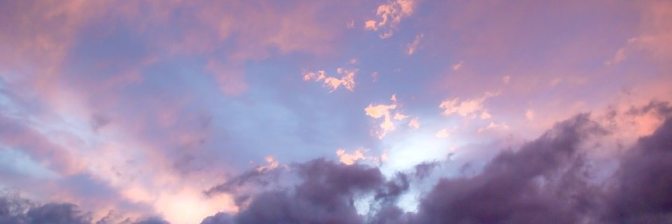 AokiScarlet_YT's profile banner image