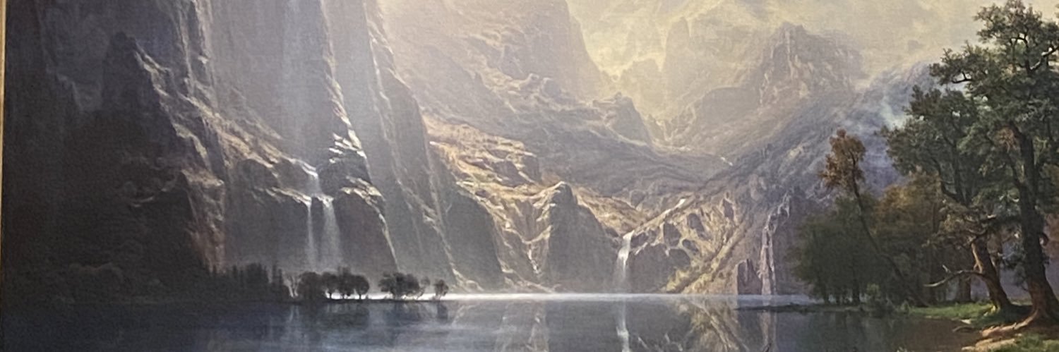 Gnarlyennis's profile banner image