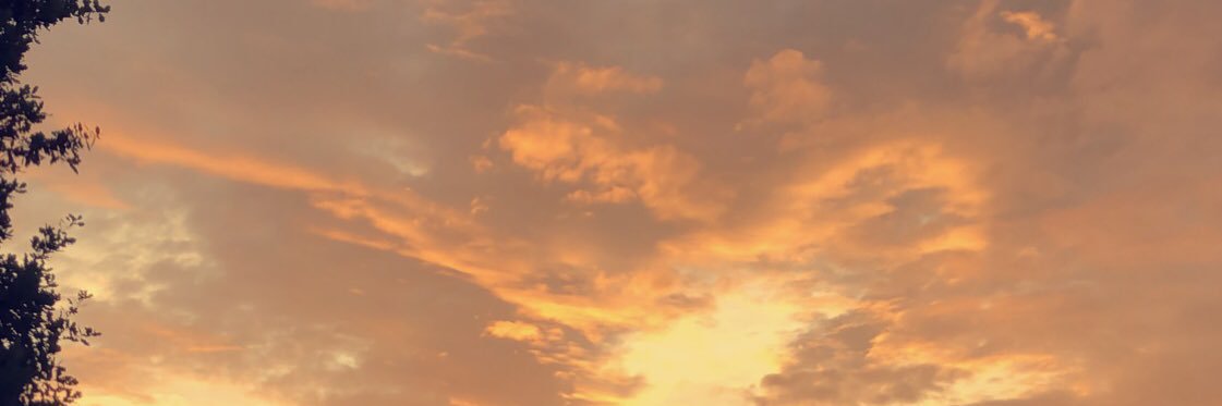 Der Elektroladen banner