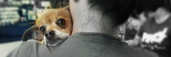 TLAPRescue's profile banner image