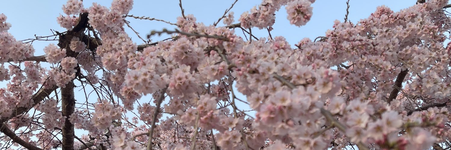 justinslayaf's profile banner image