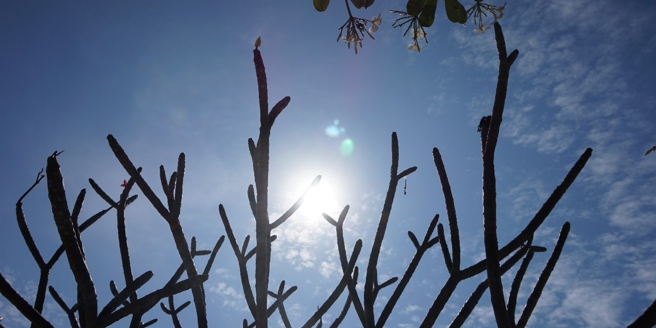llnoeyll's profile banner image