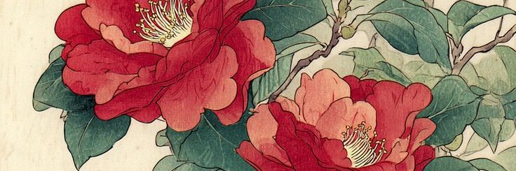 𝐂𝐇𝐈𝐀𝐑𝐀 𖹭 banner
