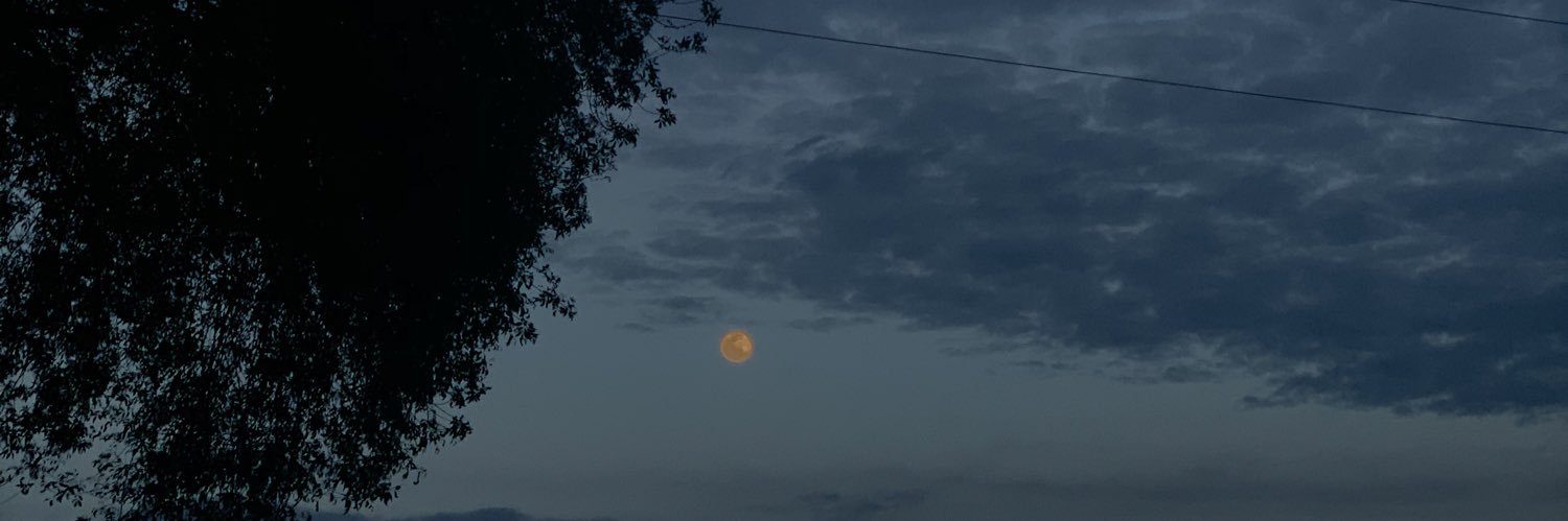 morgannlyons's profile banner image