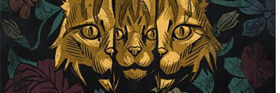 Jonathan Valente banner