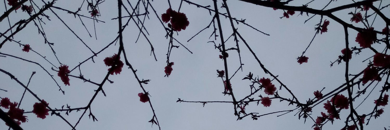 GengGuangrui's profile banner image