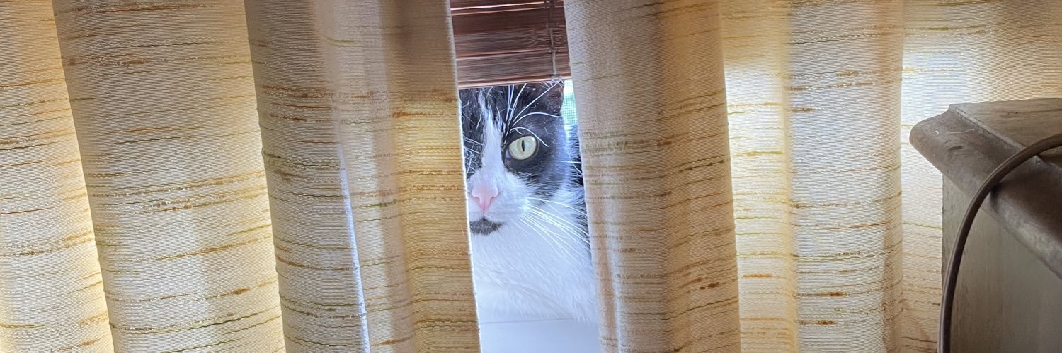 Jenn- Standing In The Breach banner