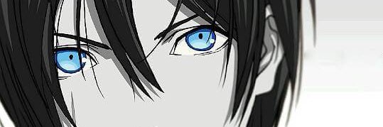 margawildofD's profile banner image