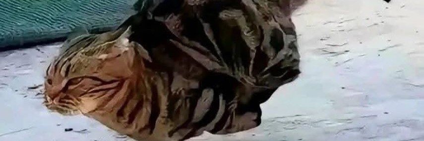 atdbadboy's profile banner image