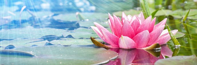 AVaidheeswaraN's profile banner image