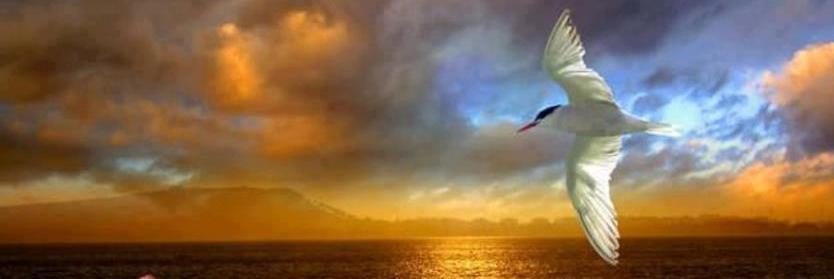 Explo_thedivine's profile banner image