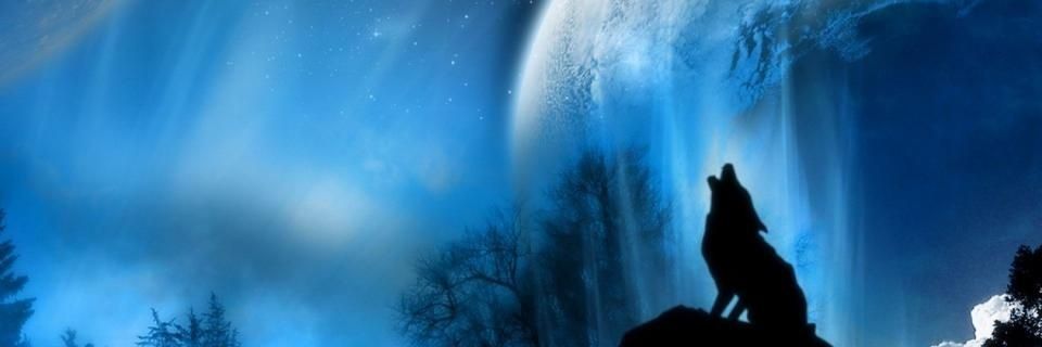 Kareem Reynolds banner