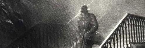 Selin banner