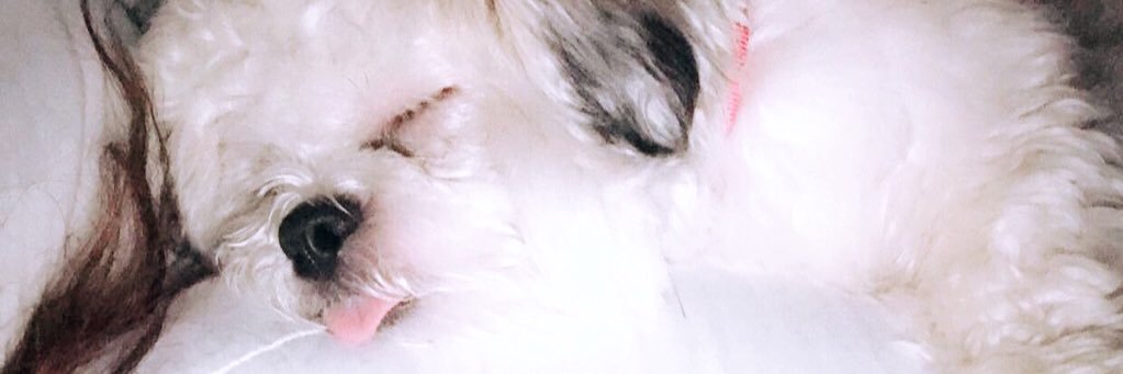 TasteMiRaynebow's profile banner image