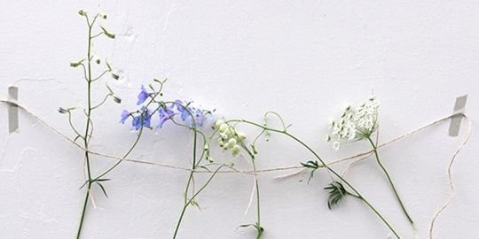 anisfrdh's profile banner image