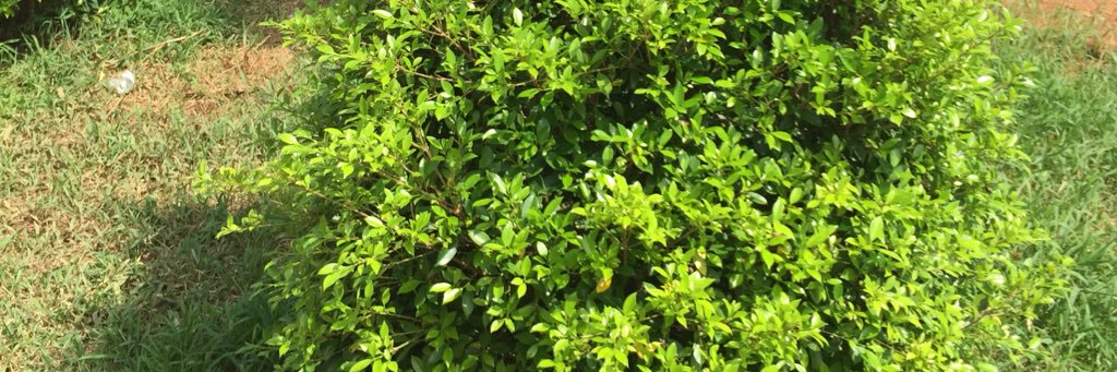 jellet123's profile banner image