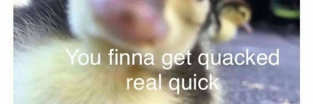 DaddyDom4204's profile banner image