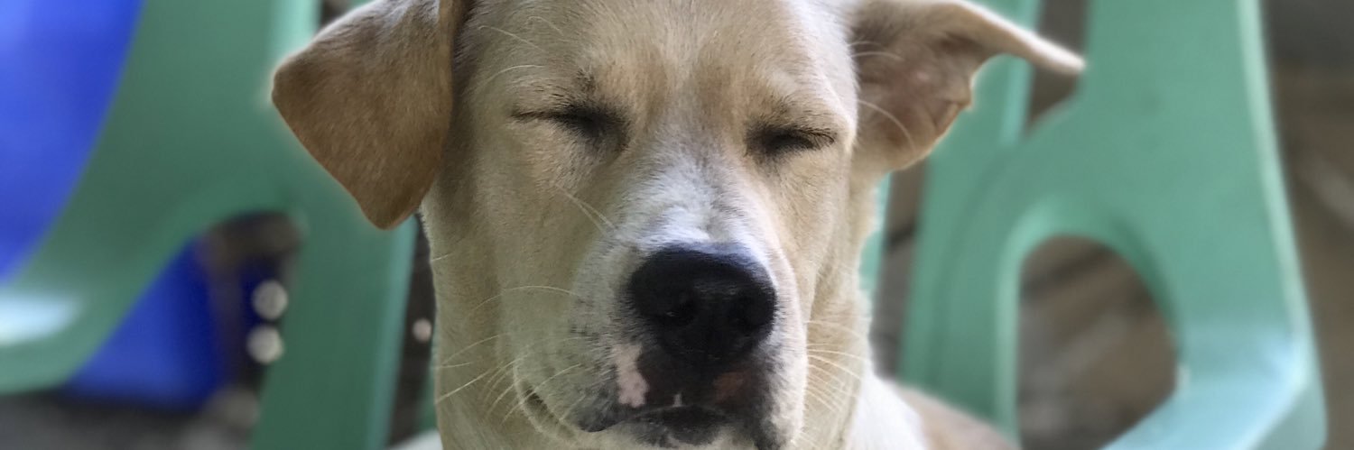 itsmarayaaah's profile banner image