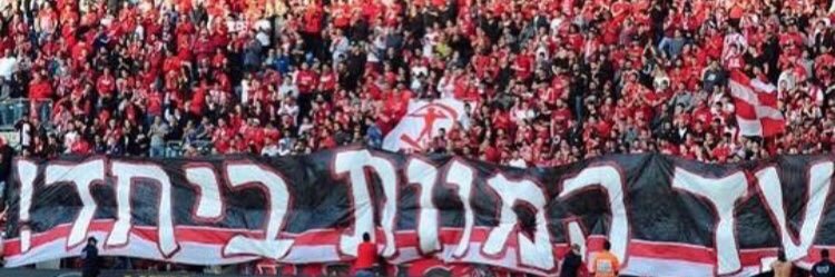 בר רבינוביץ banner