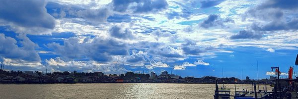 nicohern Profile Banner