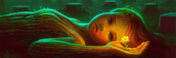 Lolypop82's profile banner image