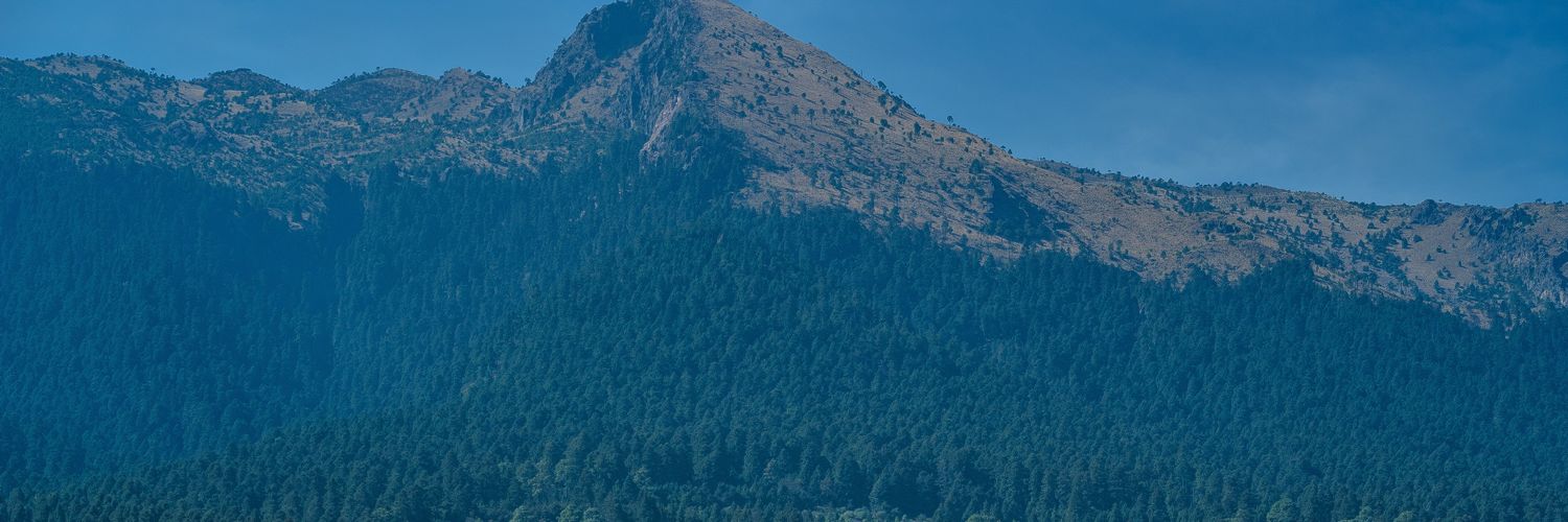 Cóndor Ultimate banner