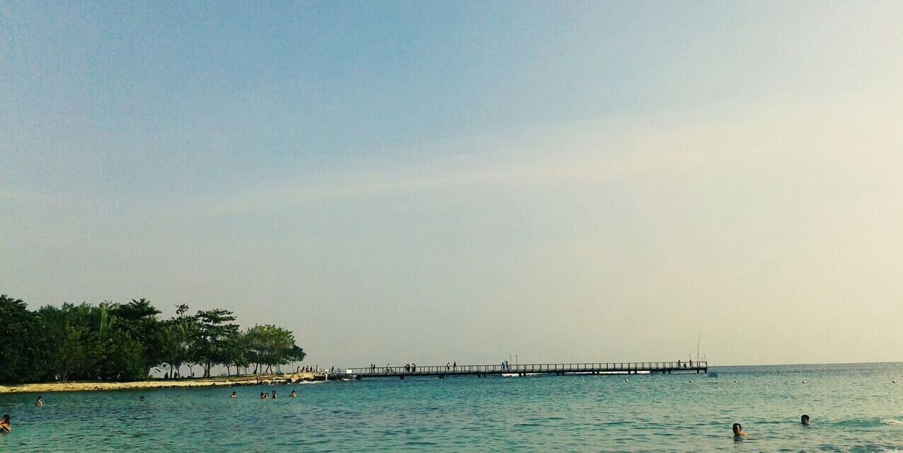 vidayasmin1's profile banner image