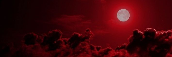 TMFPTRASH's profile banner image