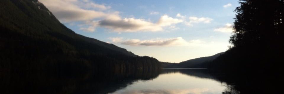 KristinWiese's profile banner image