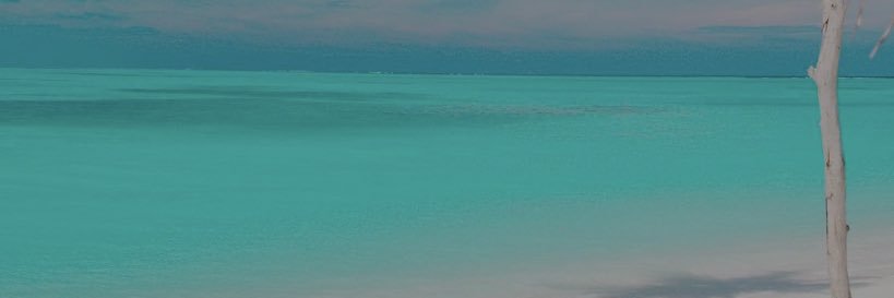 cal_rtam's profile banner image